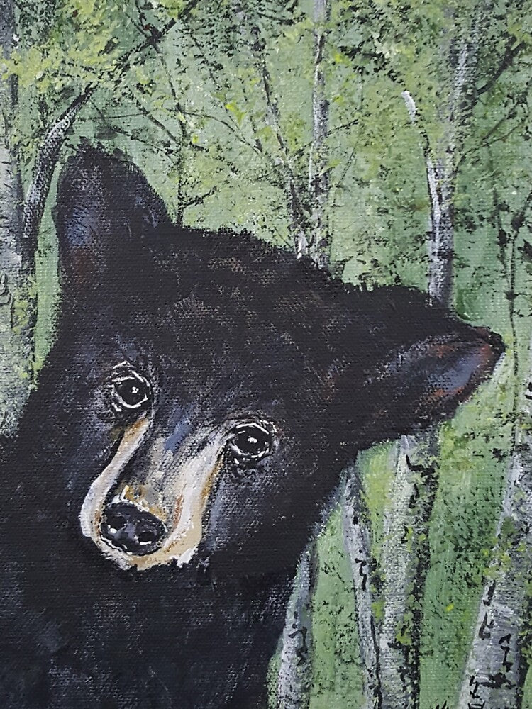 Black Bear Curious Cub by KVELKY