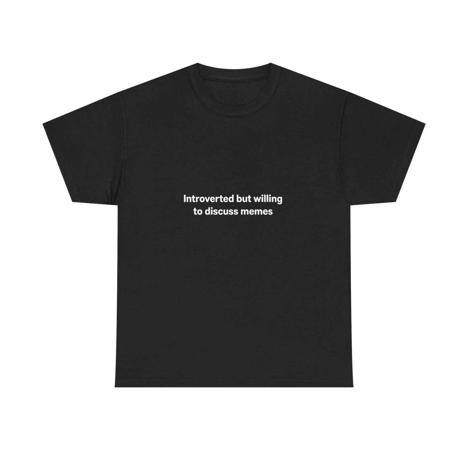 Introverted but Willing to Discuss Memes T-Shirt | Minimal Text Tee