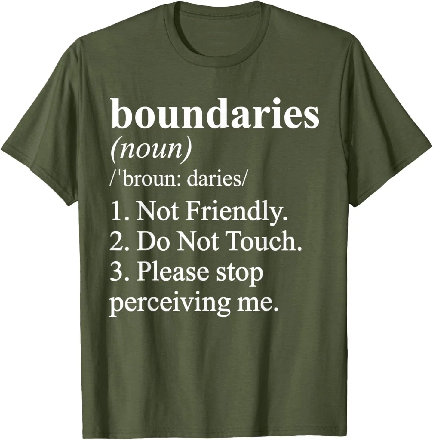 Not Friendly Definition Funny Ironic Meme T-Shirt