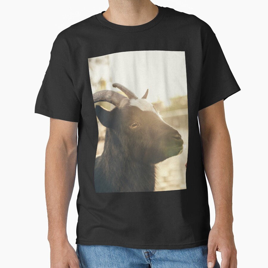 Black goat by animal-animal