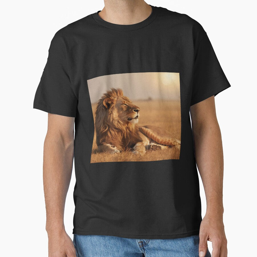 The Lion and the Sun by Collection de trésors
