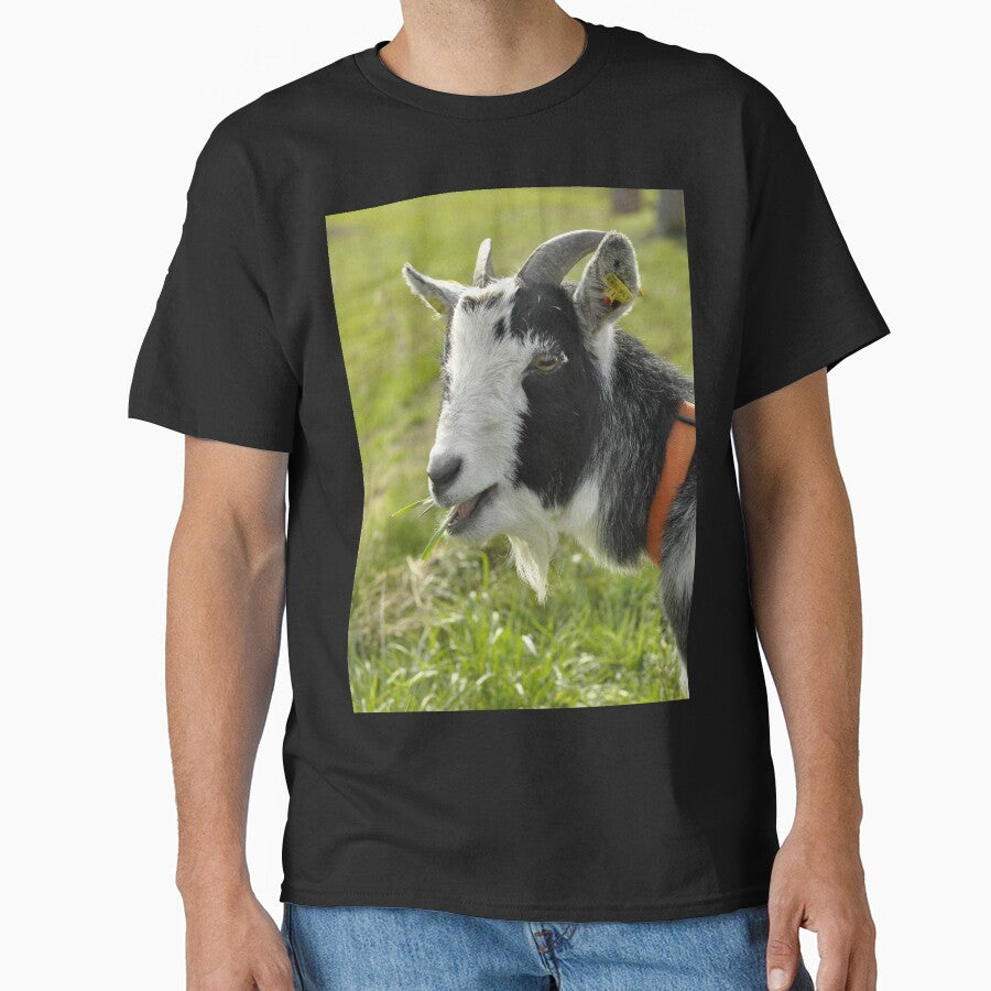 Pygmy goat - mountain goat by animal-animal
