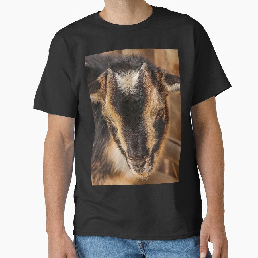 Black goat -  pygmy goat by animal-animal