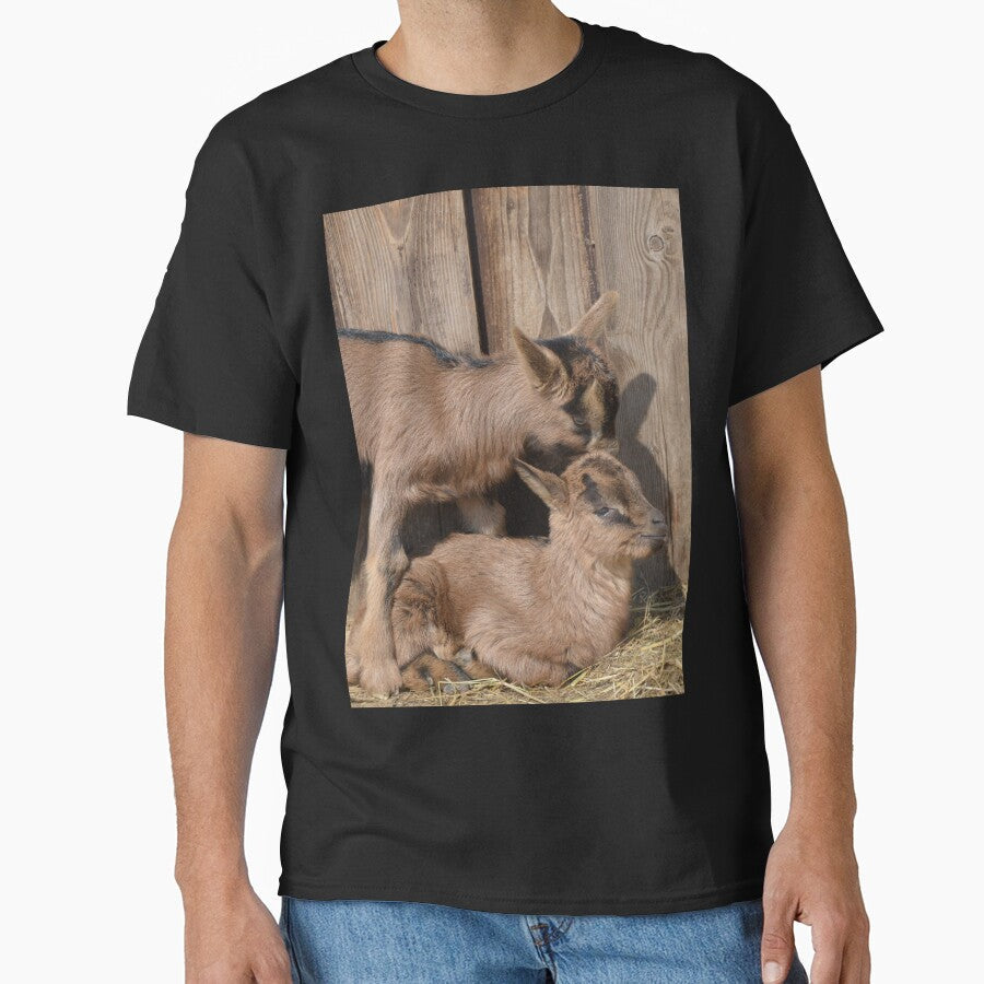 Goat farm - Funny goat by animal-animal