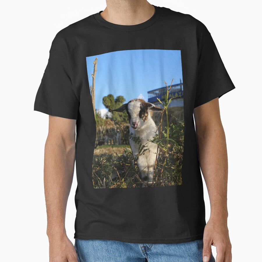 Goat farm - cute goat - white goat by animal-animal