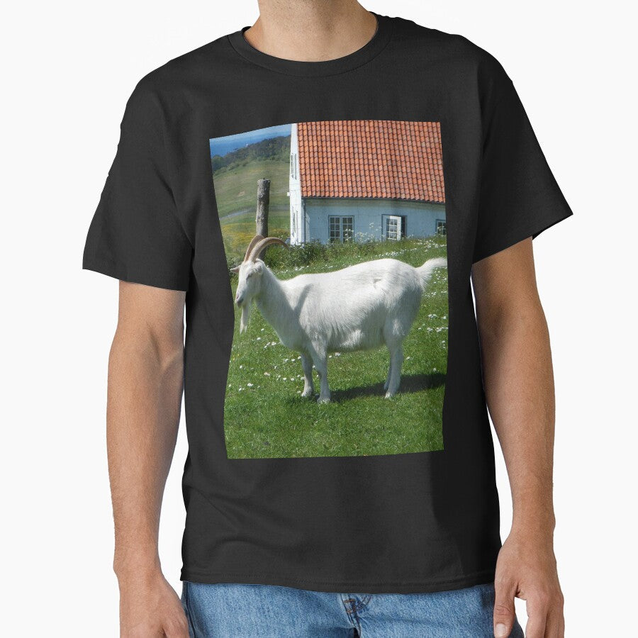 Goat farm - Funny goat - white goat by animal-animal