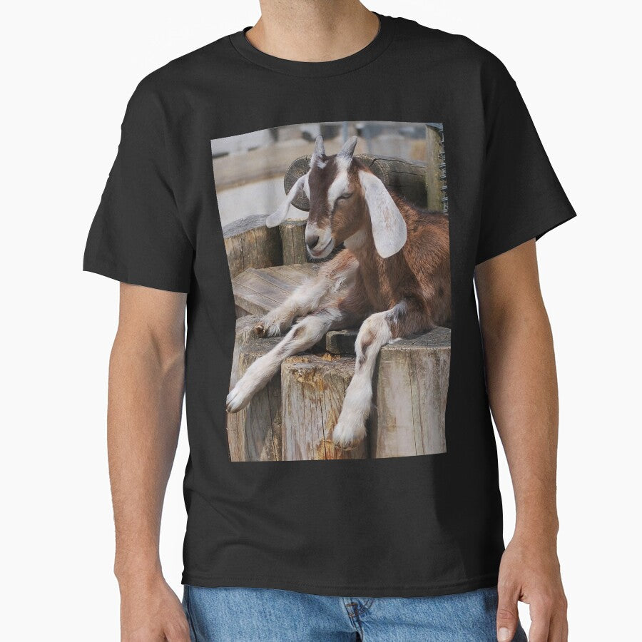 Goat farm - cute goat by animal-animal