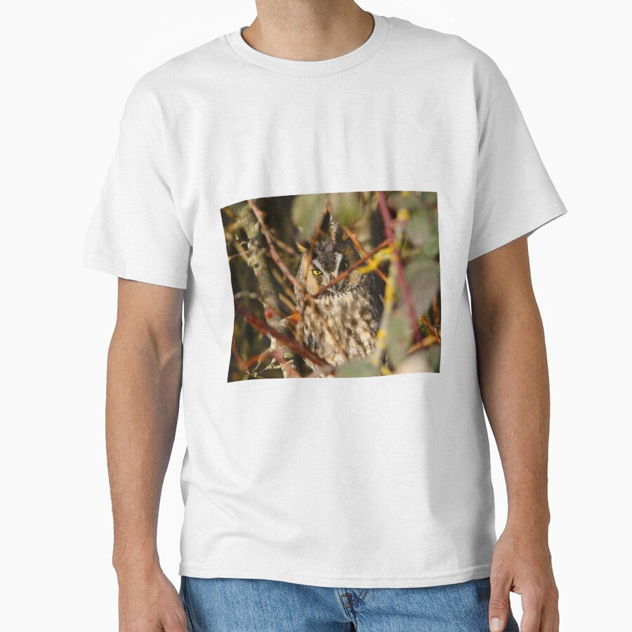 Long Eared Owl trying to sleep by RichImage