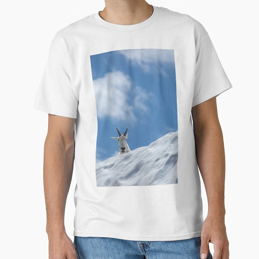 A Mountain Goat in Snow Looks On by katevernaphoto