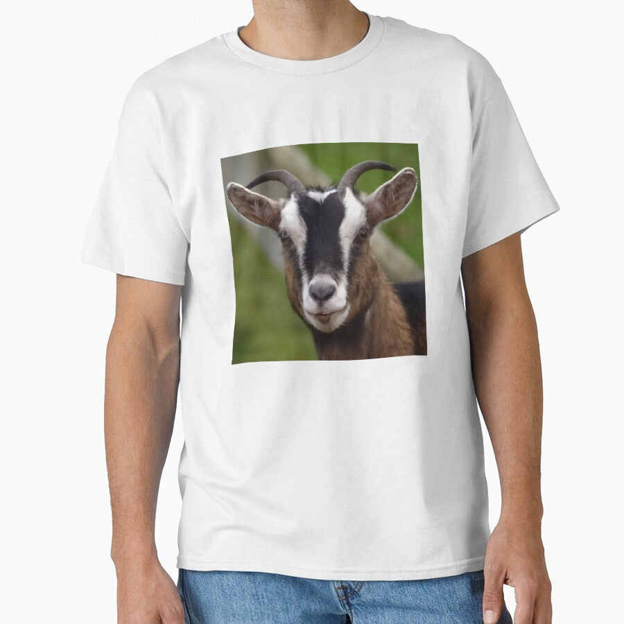 Cute Farm Goat by TheAnimalZ00