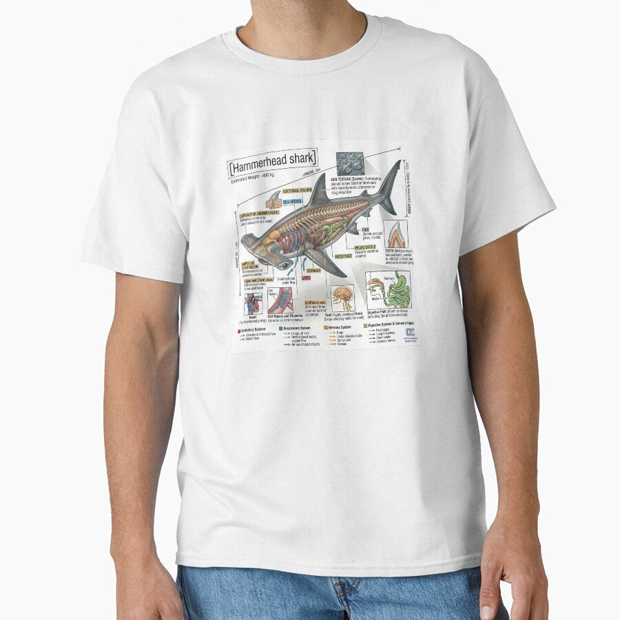 Hammerhead Shark - Sketch by CompEsp-Shop