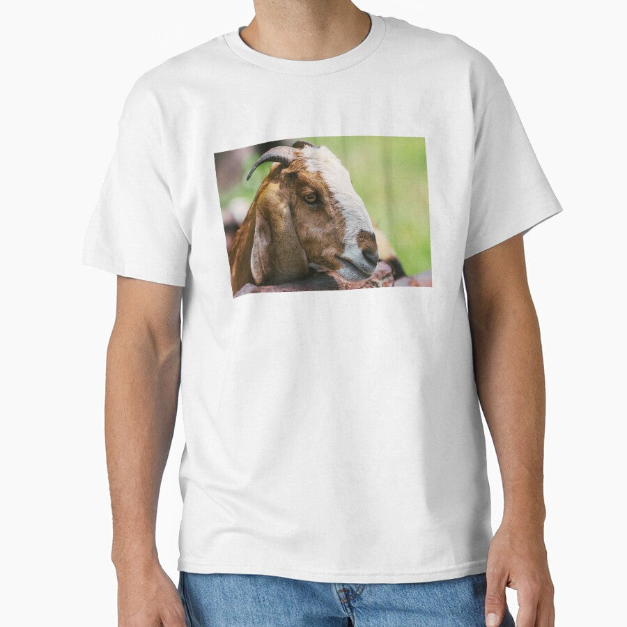 Anglo Nubian Goat by TheAnimalZ00