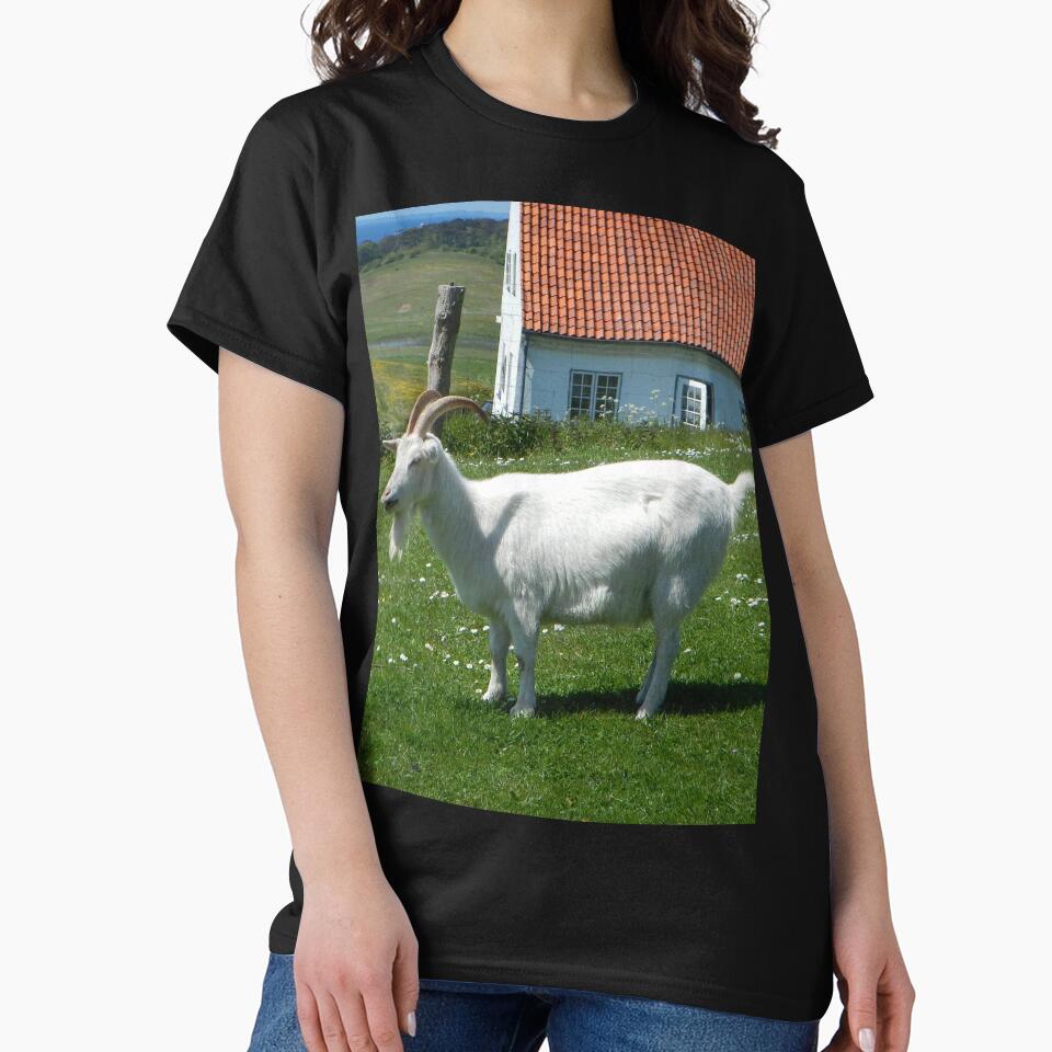 Goat farm - Funny goat - white goat by animal-animal