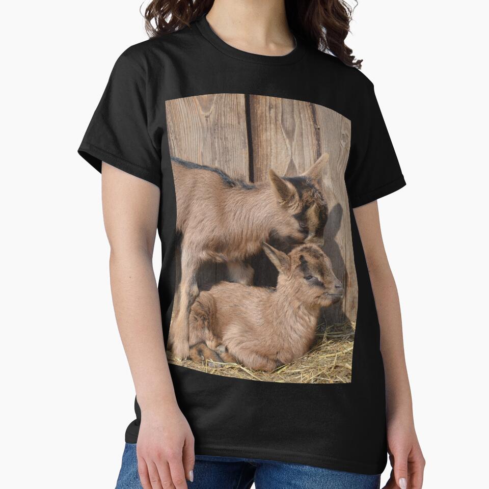Goat farm - Funny goat by animal-animal