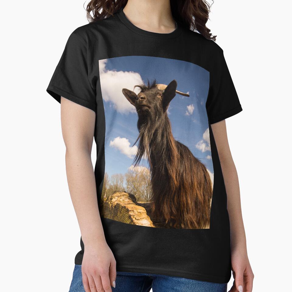 Goat farm - Funny goat - black goat by animal-animal