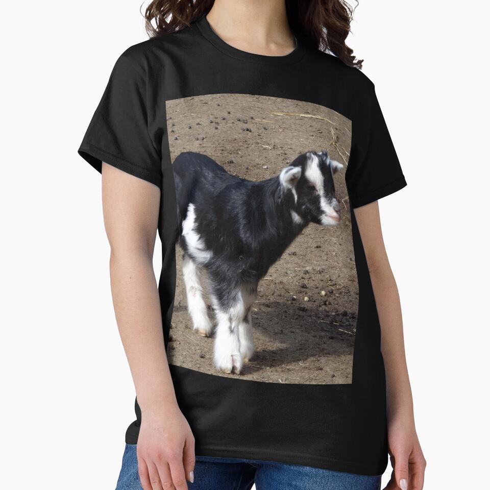 Goat farm - Funny goat - White goat - Black goat by animal-animal