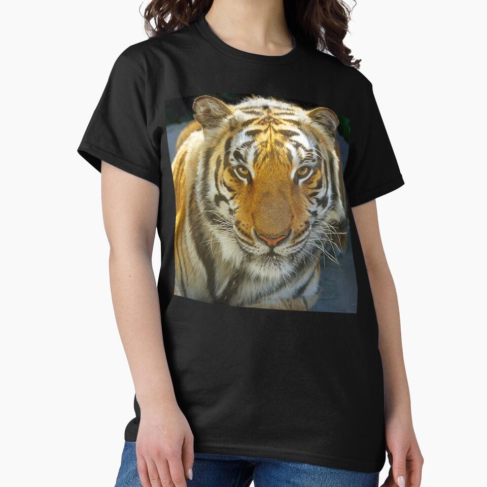 Tiger Face: Up Close and Very Personal Art Photo by DEC02