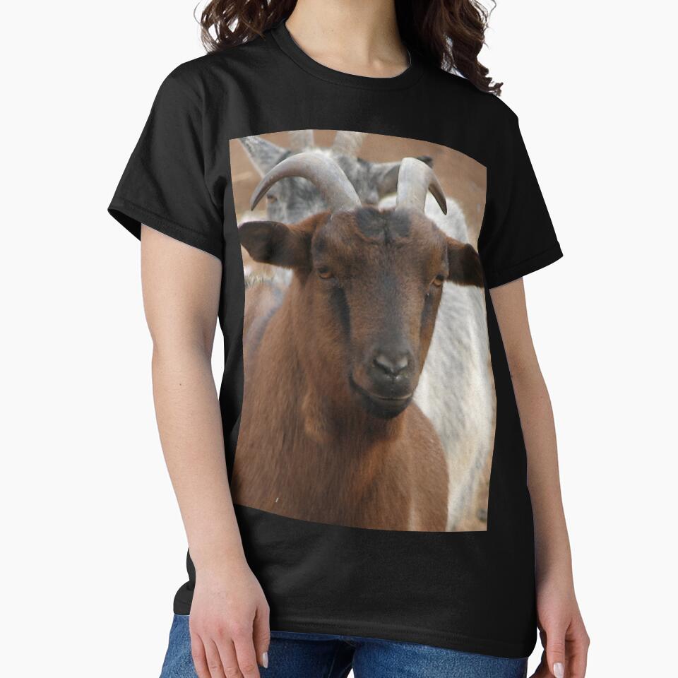 Funny goat by animal-animal