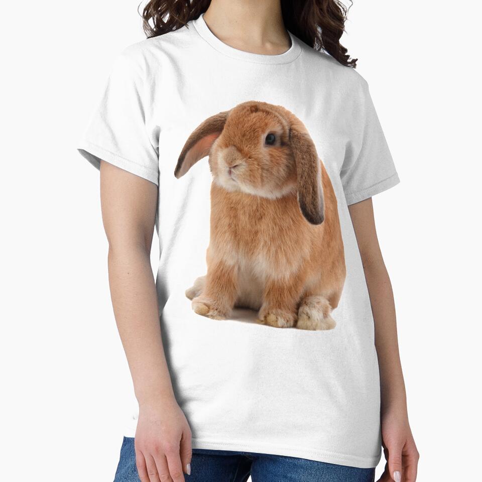 Lop Eared Rabbit by DoodleDashCollective
