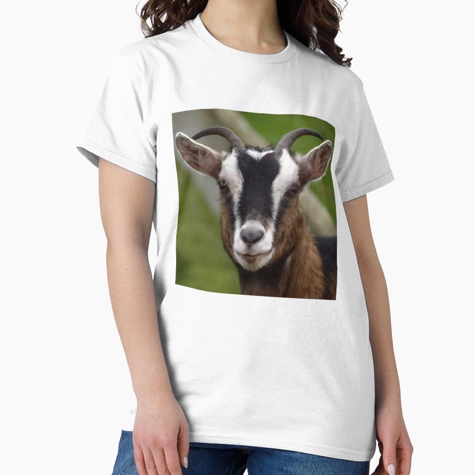 Cute Farm Goat by TheAnimalZ00