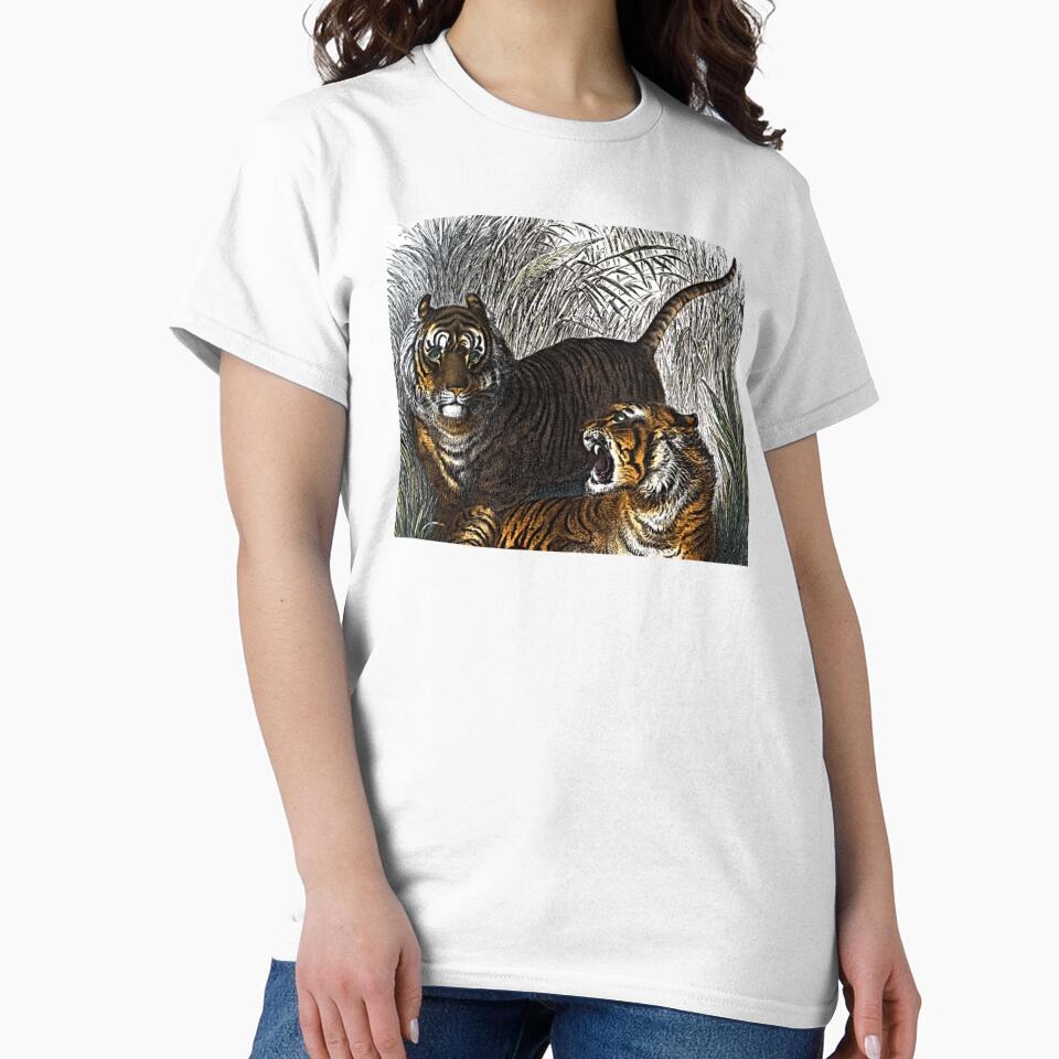 Tigers Illustration by NoxLand