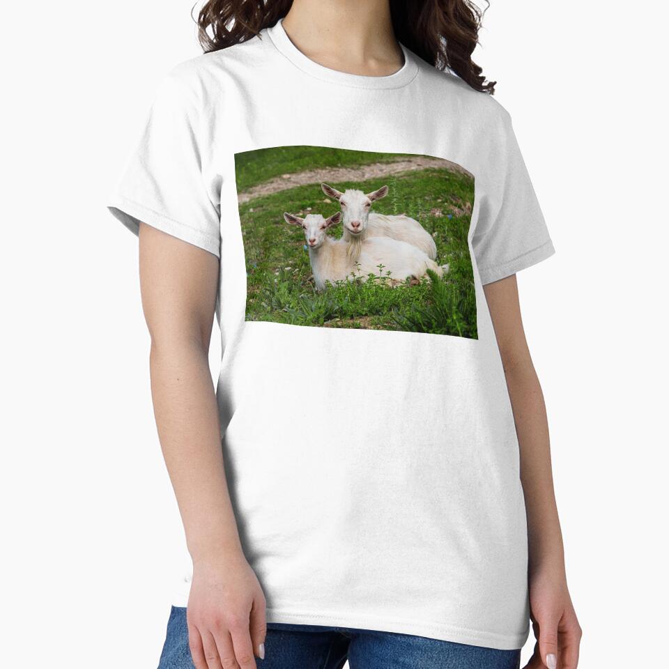 Saanten Goats by TheAnimalZ00