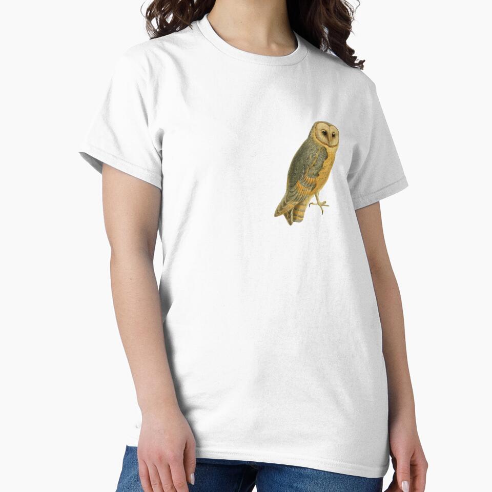 Barn Owl | Vintage Owl illustration by EveryDayDabble