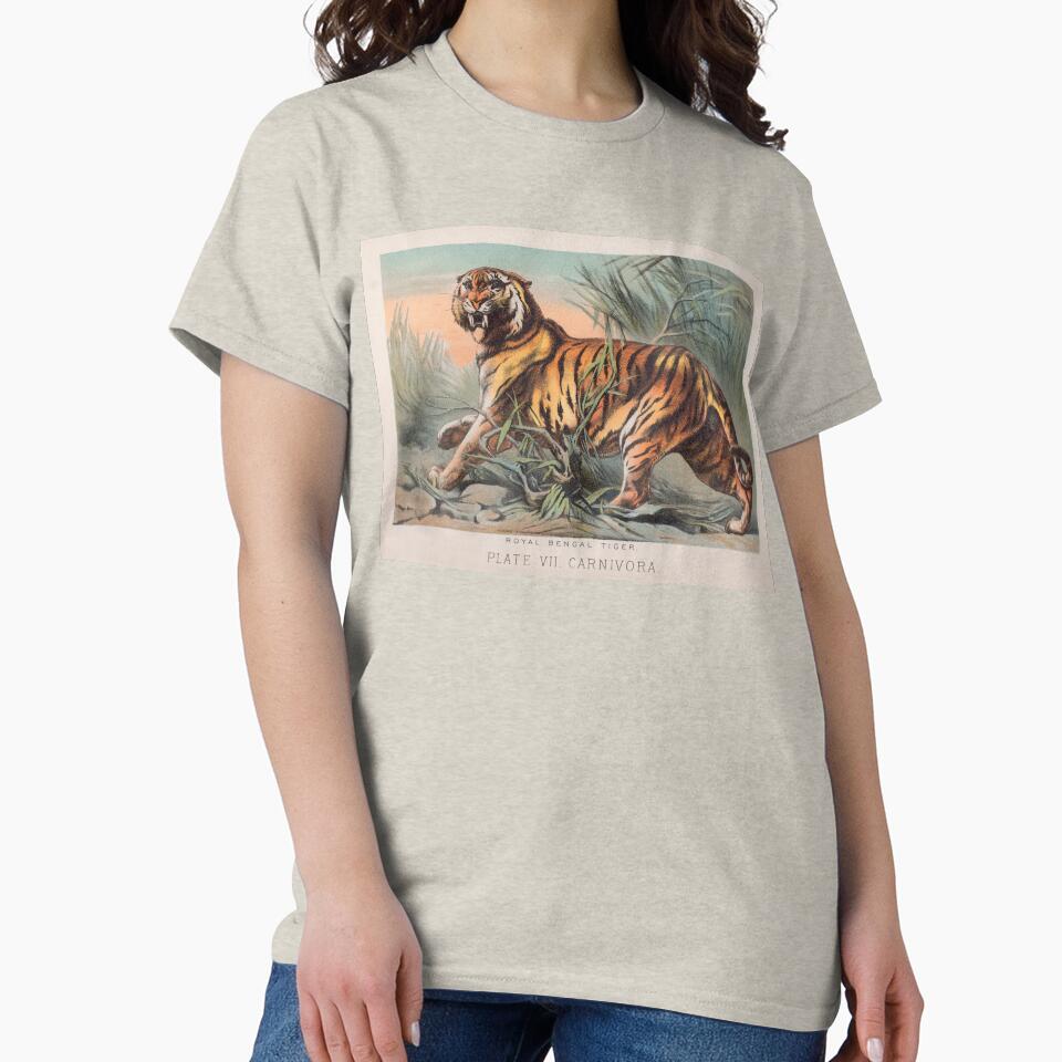 Bengal Tiger illustration by Vintage Designs +