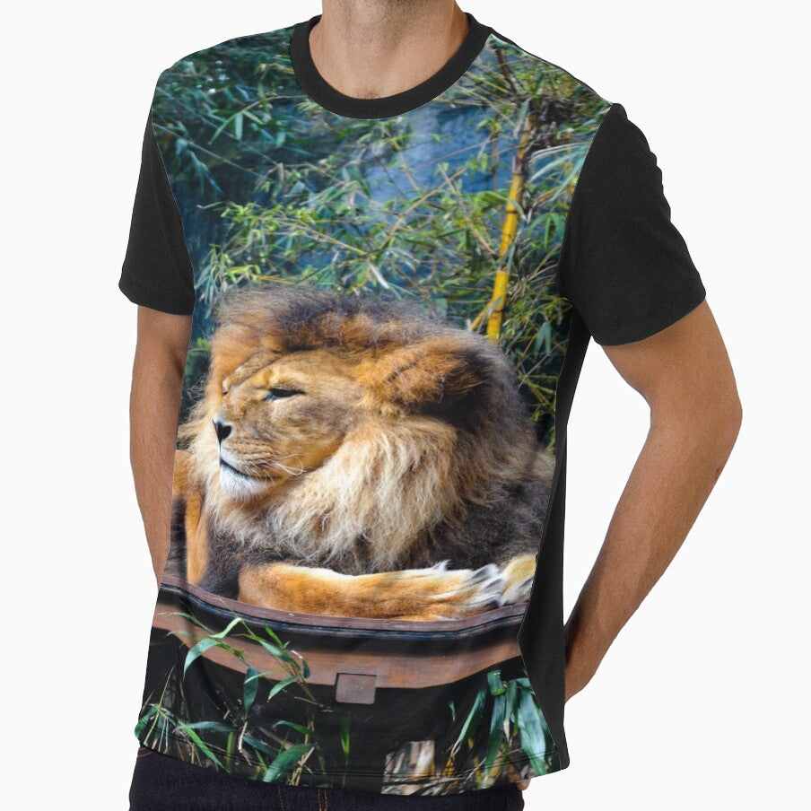 Zoo Lounging Lion Cat by Alladin7