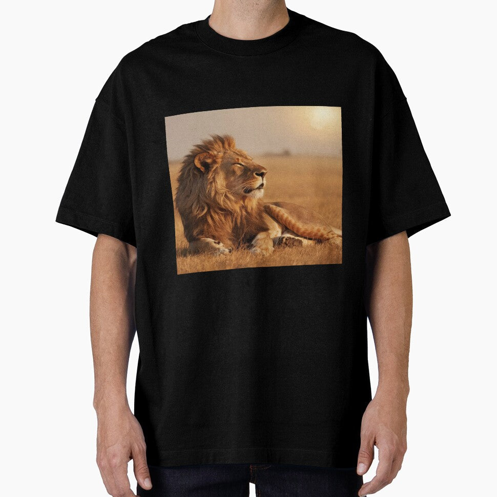 Le Lion et le Soleil by Collection de trésors