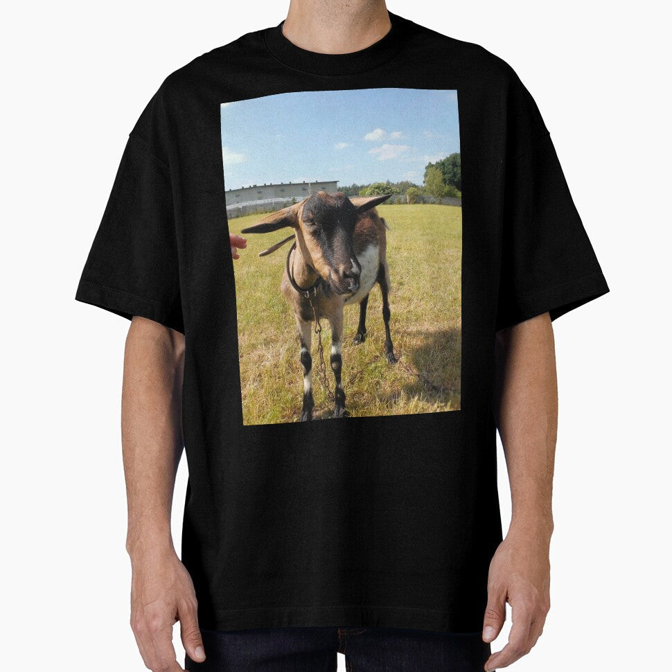 Goat farm by animal-animal