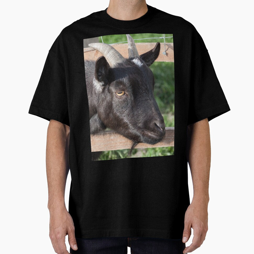 Black goat -  farm goat by animal-animal