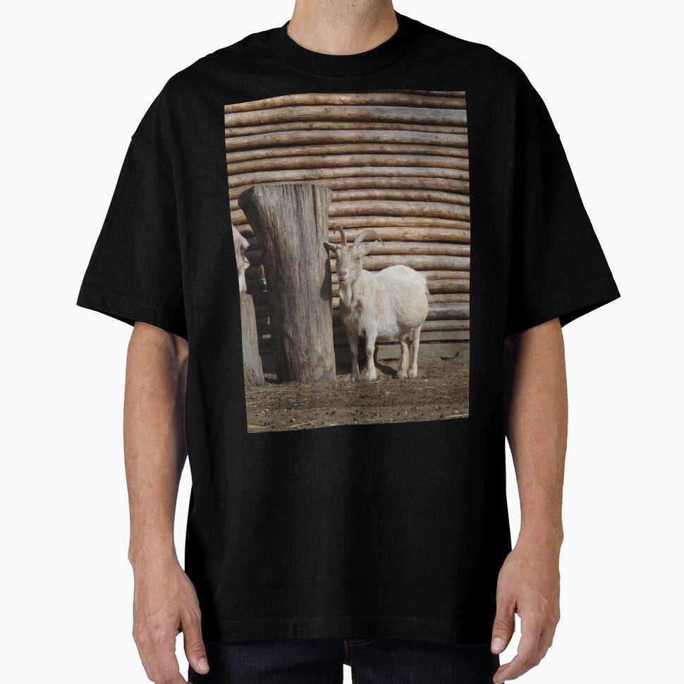 Goat farm - cute goats by animal-animal