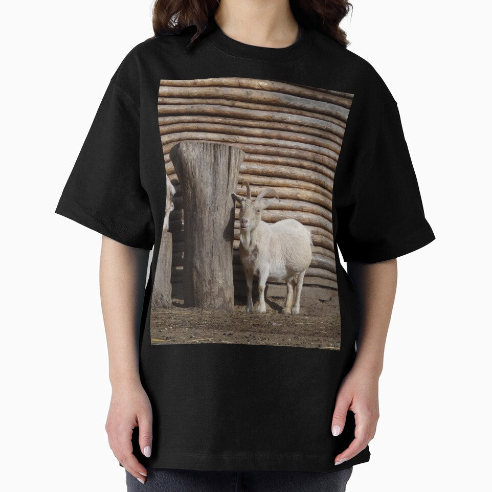 Goat farm - cute goats by animal-animal