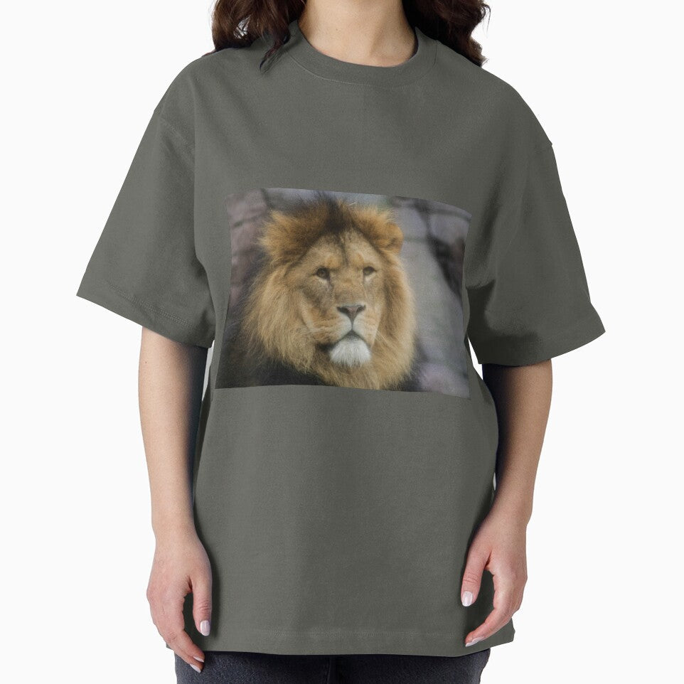 Male Lion Portrait by KcsArt87