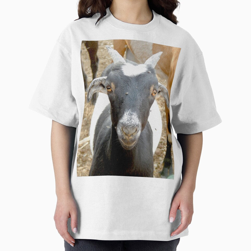 cute black goat face by Stephanie  Skeem