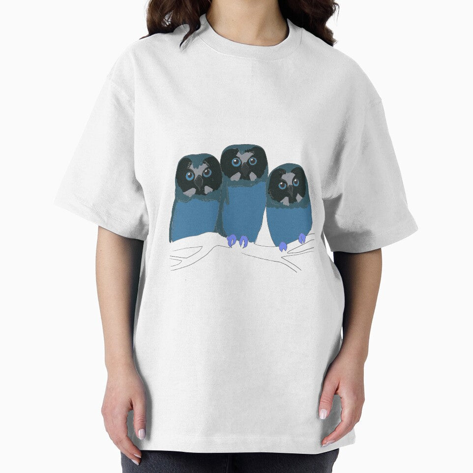 Saw-whet Owls by Ashley’sAnimalz