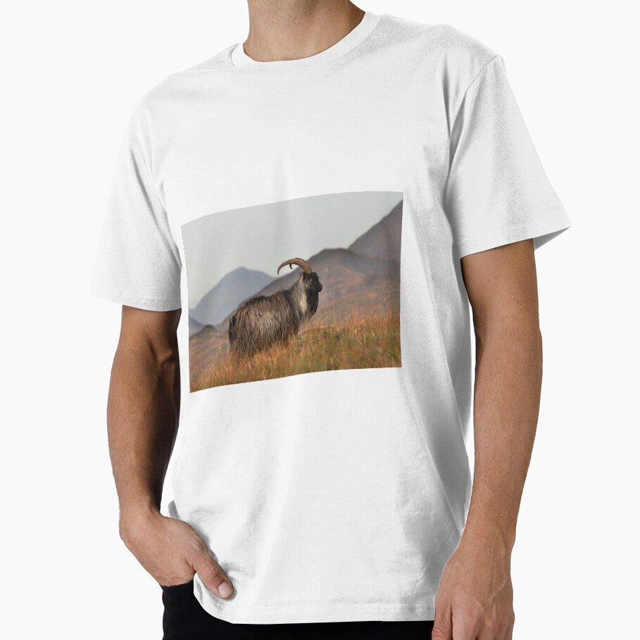 Feral Goat by Macrae images